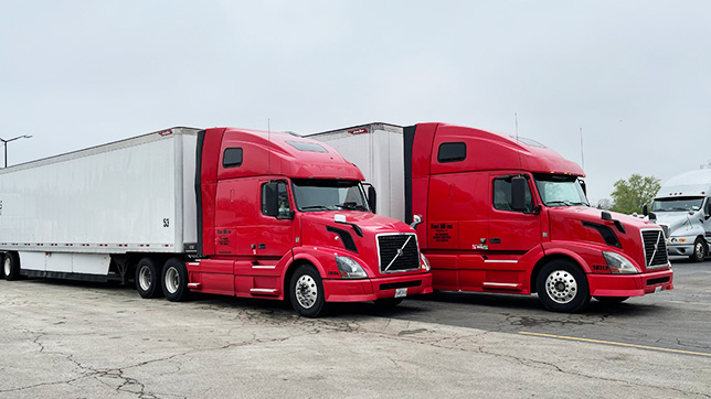 About Fieri SB company